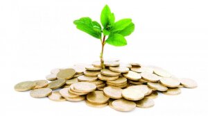 Куда вложить деньги в Украине начинающему инвестору?